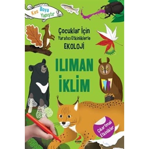 5 Yaş ve Üzeri Çocuklar İçin Yaratıcı Etkinliklerle Ekoloji Ilıman İklimi